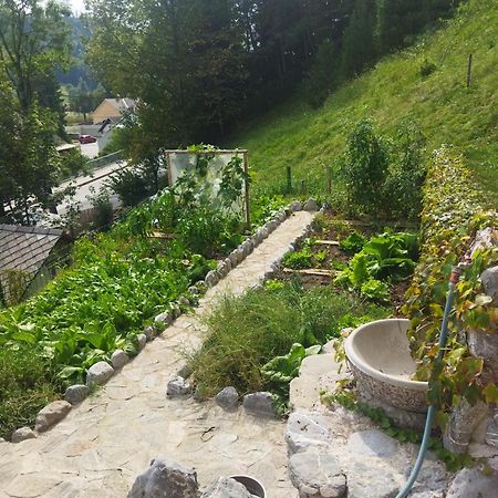 Natur Apartma Rudi Begunje na Gorenjskem Buitenkant foto