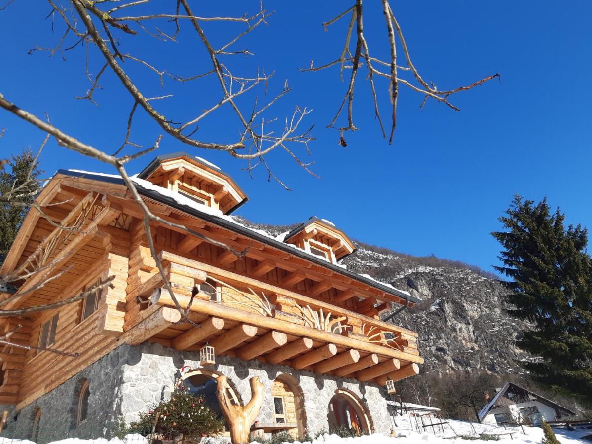 Natur Apartma Rudi Begunje na Gorenjskem Buitenkant foto