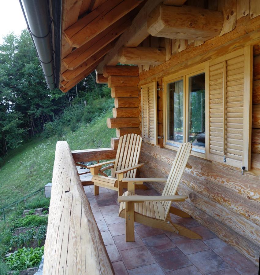 Natur Apartma Rudi Begunje na Gorenjskem Buitenkant foto